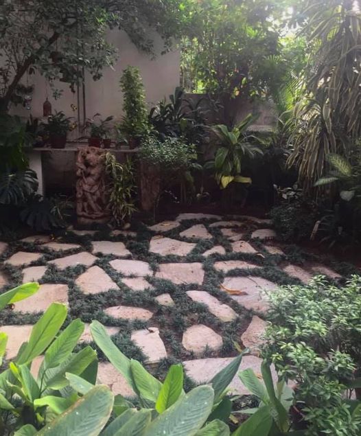 A SHADE LOVING GARDEN
