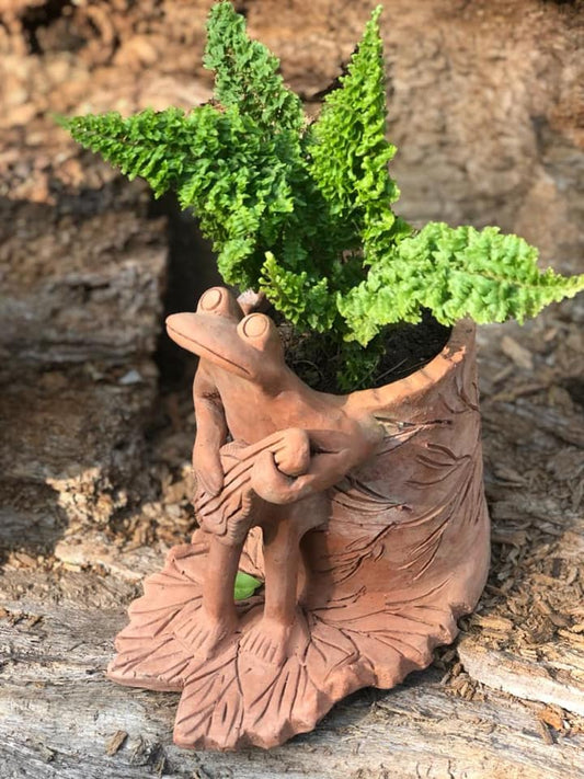 Fun with Ferns