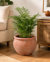 Peacock Leaf Terracotta Planter