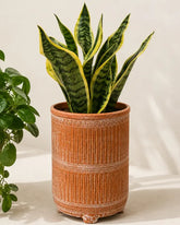 Terracotta Planter on Legs