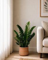 Decorative Ringed Planter