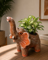 Lucky Elephant Terracotta Planter