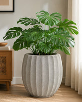 Kharbooja Dhaari Planter