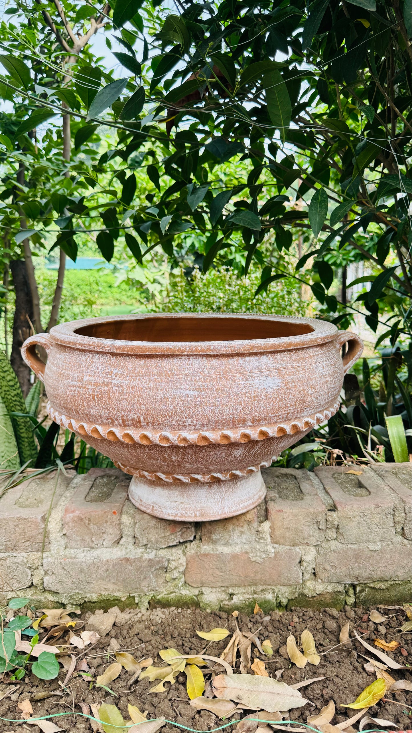 TERRACOTTA TWO HANDLE URLI POT