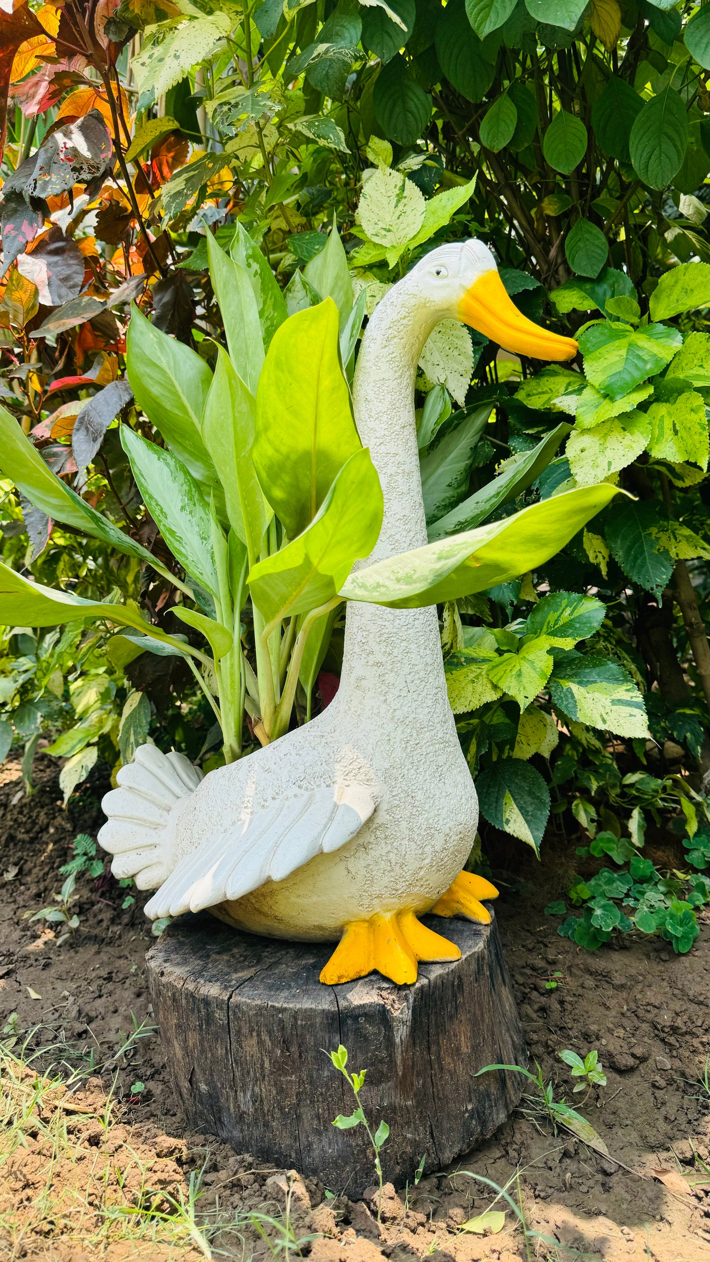 DUCK WITH WINGS OPEN NECK DOWN FOR HOME GARDEN BALCONY DECOR