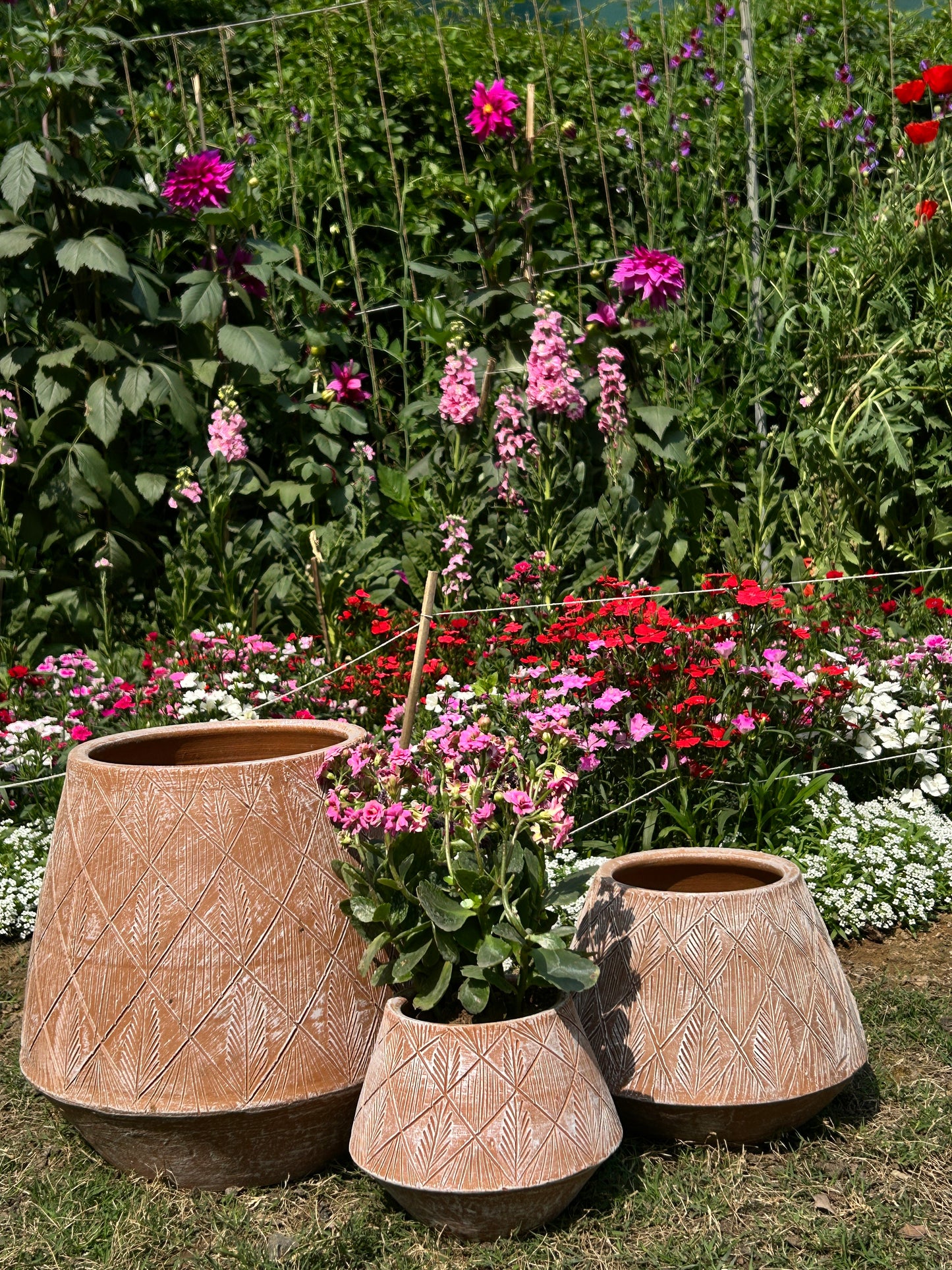 CONICAL POTS