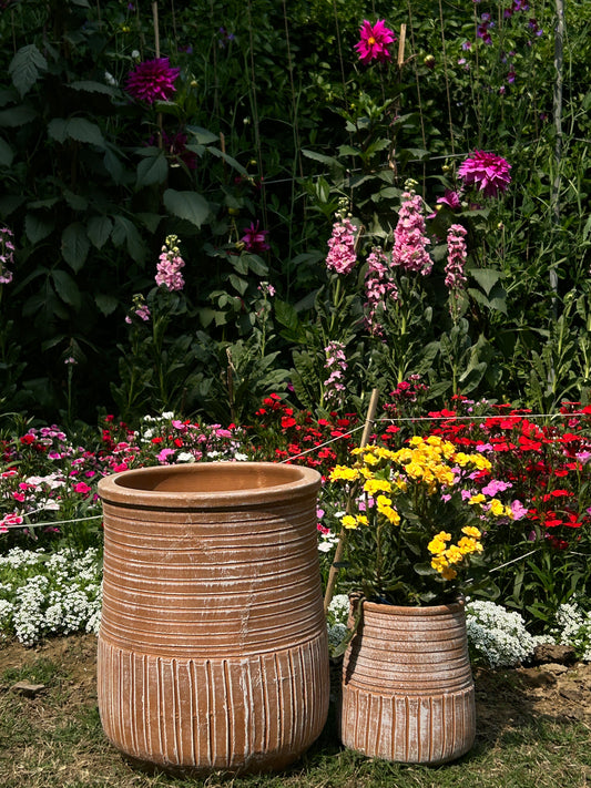 RINGED AND LINED POTS