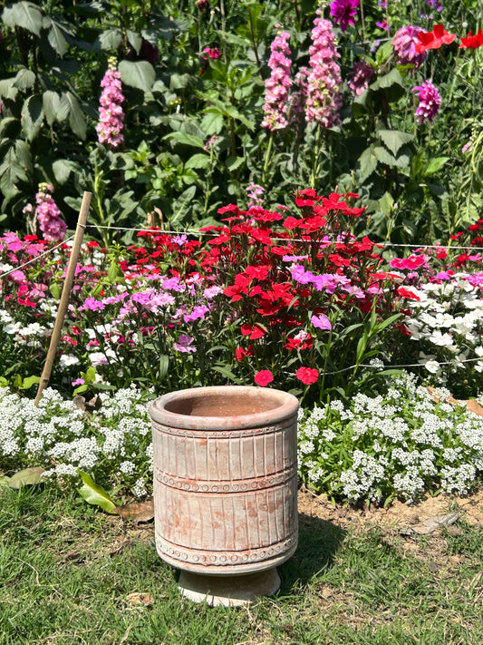 DOTTED AND LINED POT