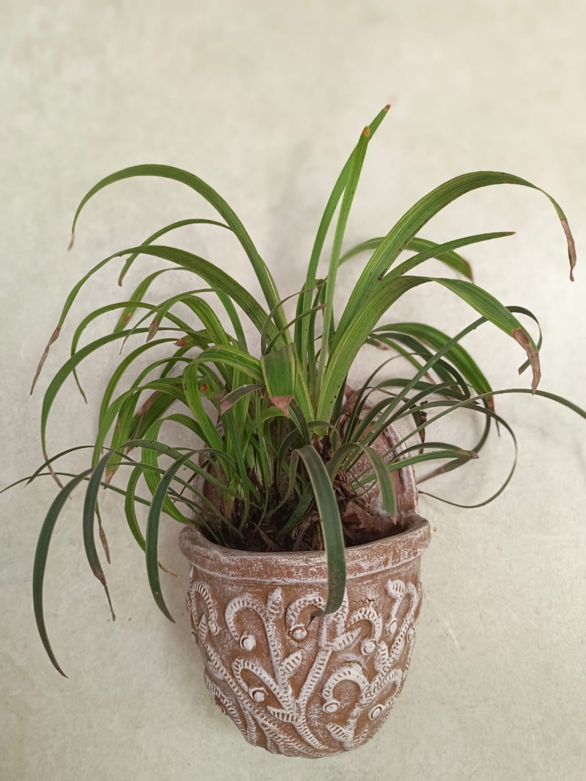 PHOOL PATTI WALL PLANTER FOR HOME  GARDEN BALCONY DECOR