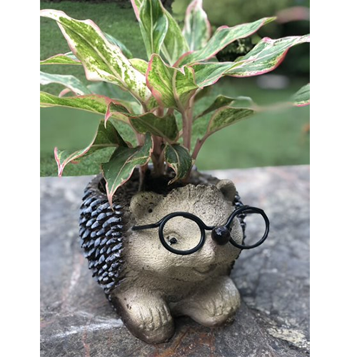 large animal planter pots Porcupine – Sondha The Garden Shop
