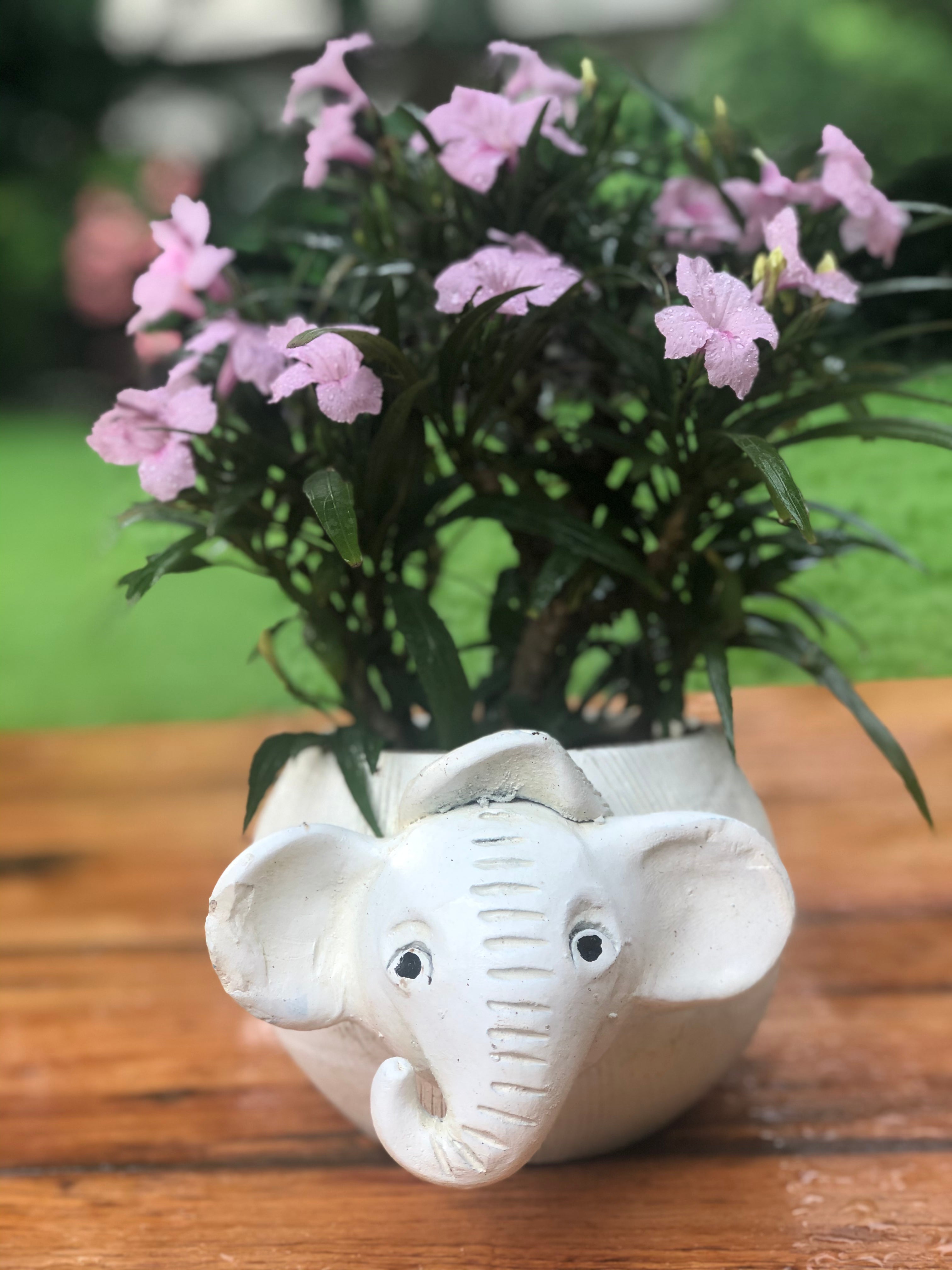 elephant pot plant Elephant planter pot for home garden balcony decor