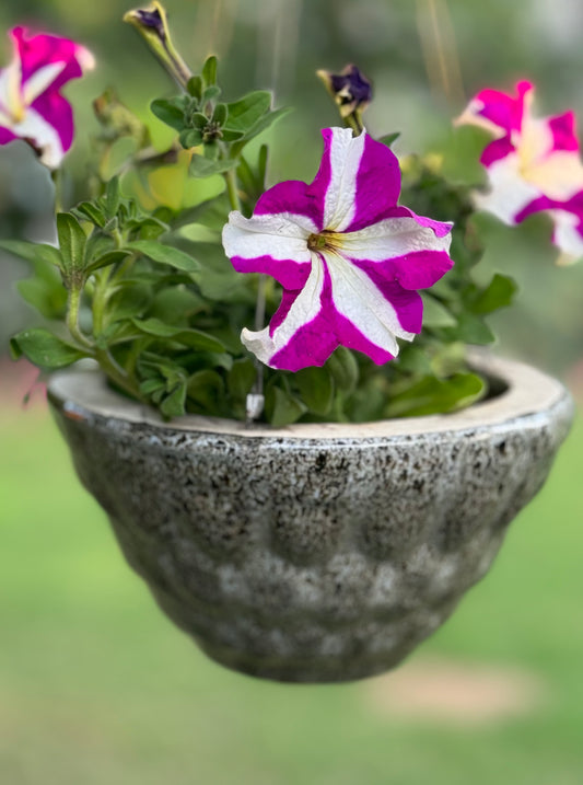 CERAMIC HANGING PLANTER POT