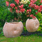 Terracotta hanging shell planter pot for home garden balcony decor