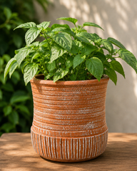 Decorative Ribbed Planter