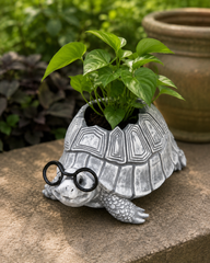 Turtle Garden Planter