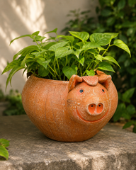 Pig Terracotta Planter