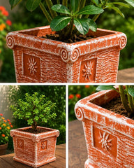 Square Terracotta Planter