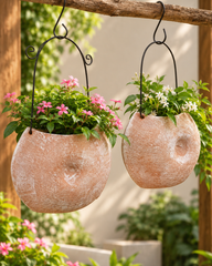 Shell Terracotta Hanging Planter