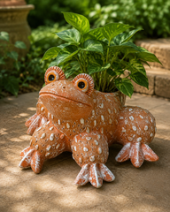 Frog Terracotta Planter