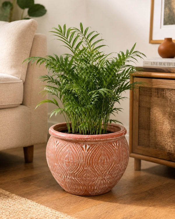 Peacock Leaf Terracotta Planter