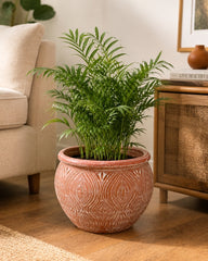 Peacock Leaf Terracotta Planter