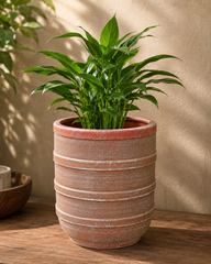 Ribbed Terracotta Planter