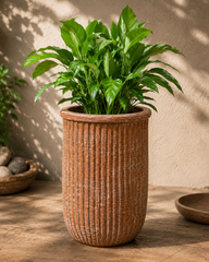Decorative Ribbed Planter