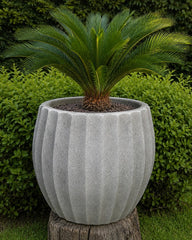 Kharbooja Dhaari Planter