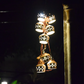 Terracotta 10 Feet LED Fairy String Cluster Lights