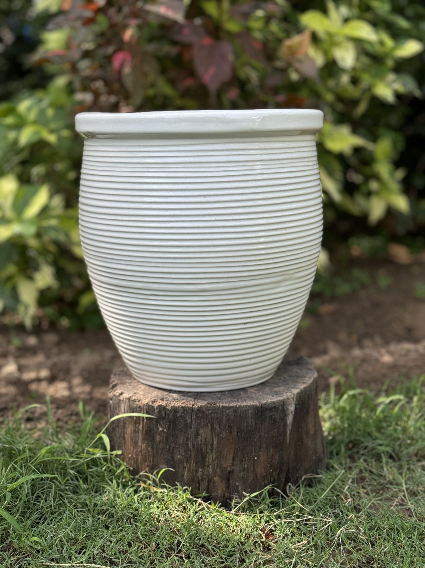 Ceramic Ribbed Gleam Planter Pot for Home Garden Balcony Decor