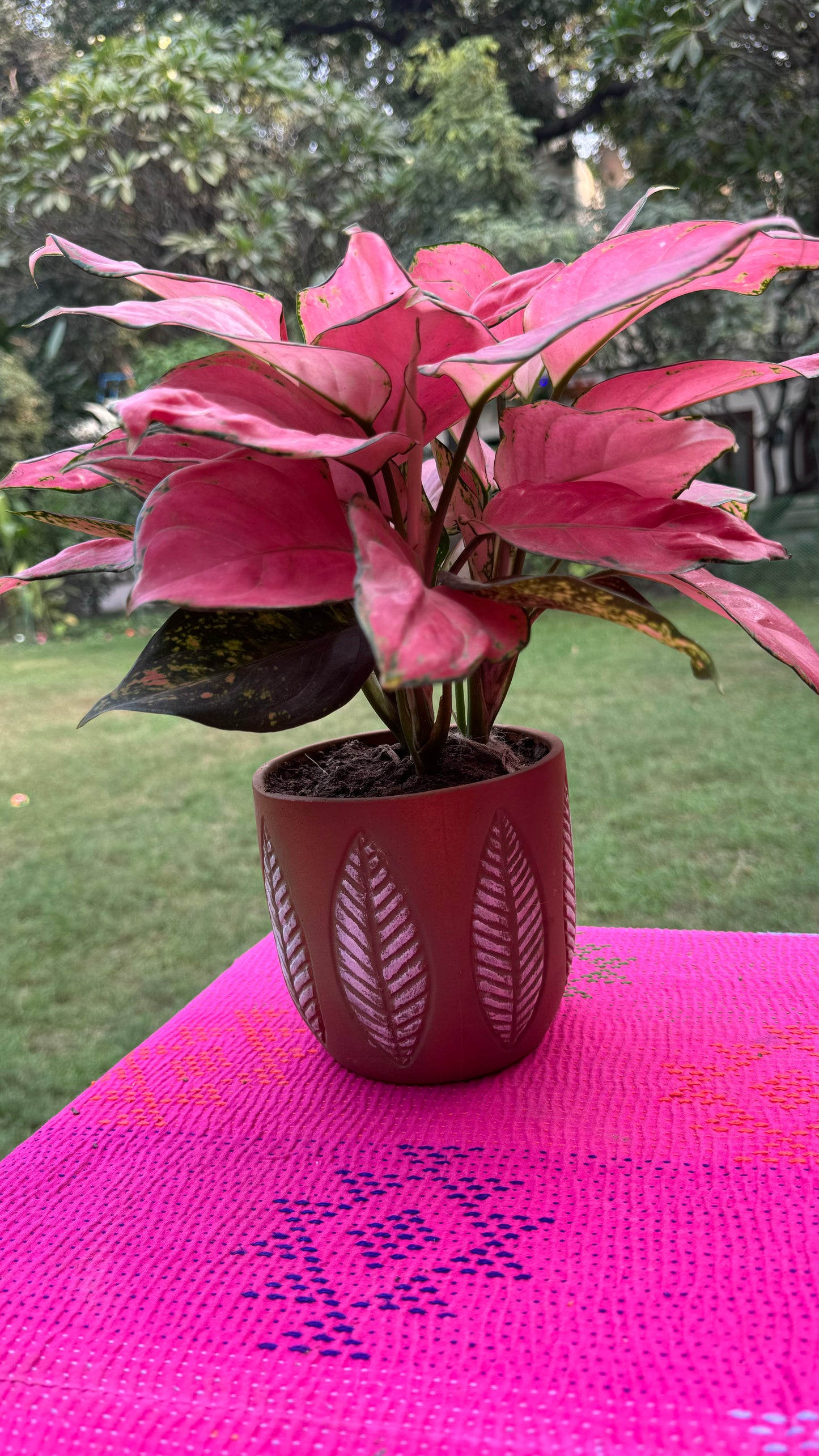 CERAMIC POT WITH LEAF PATTERN