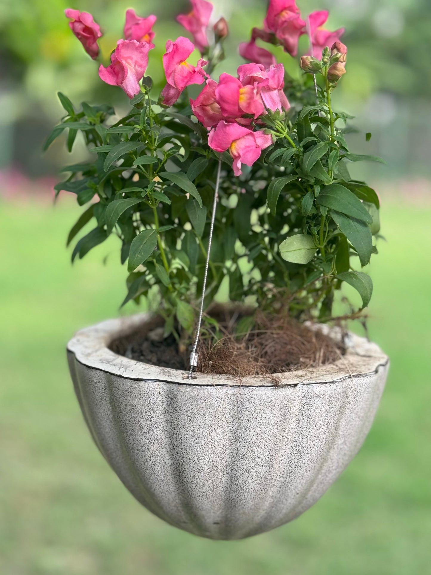 CERAMIC HANGING PLANTER POT