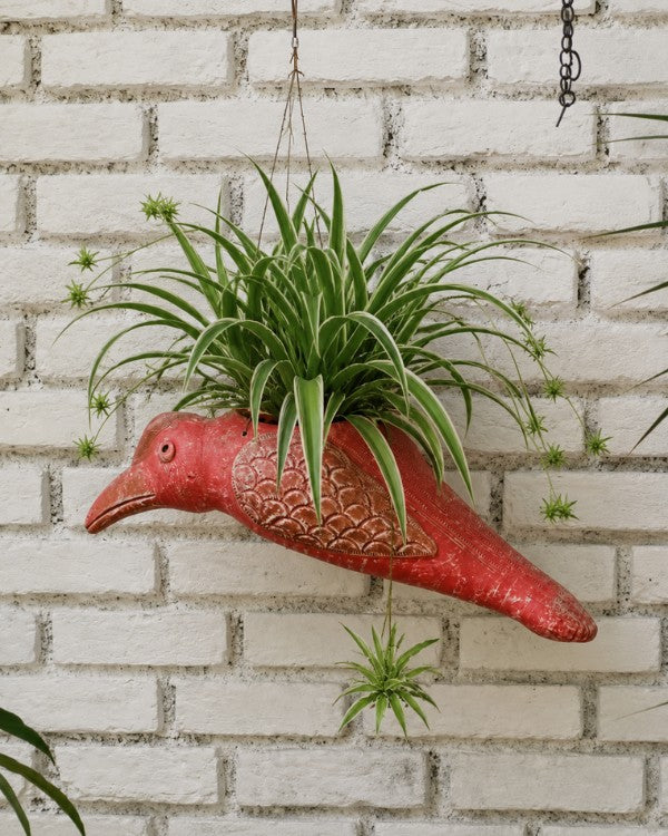 Hornbill Terracotta Hanging Planter