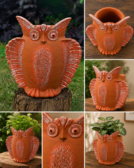 Owl with wings Terracotta Planter