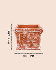 Square Terracotta Planter
