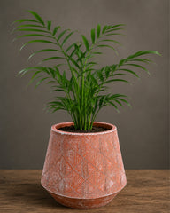 Diamond Conical Terracotta Planter