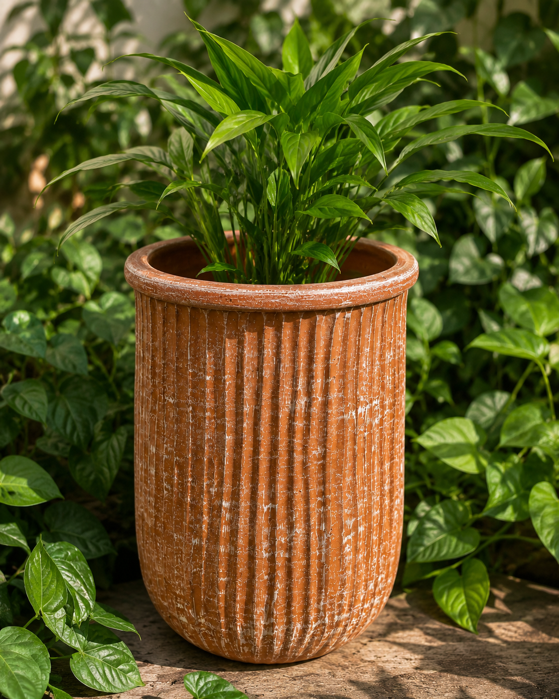 Decorative Ribbed Planter