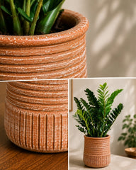 Decorative Ringed Planter