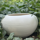 Ceramic ribbed white glazed pot for home garden balcony decor