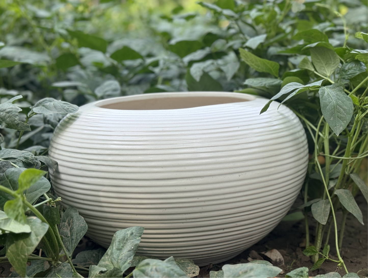 CERAMIC RIBBED WHITE GLAZED POT FOR HOME GARDEN BALCONY DECOR