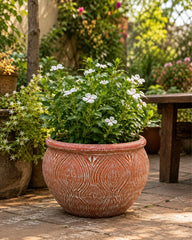 Peacock Leaf Terracotta Planter