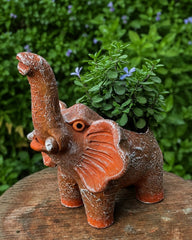 Lucky Elephant Terracotta Planter