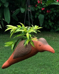 Hornbill Terracotta Hanging Planter