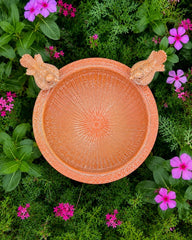 Terracotta Bird Bath with Two Birds
