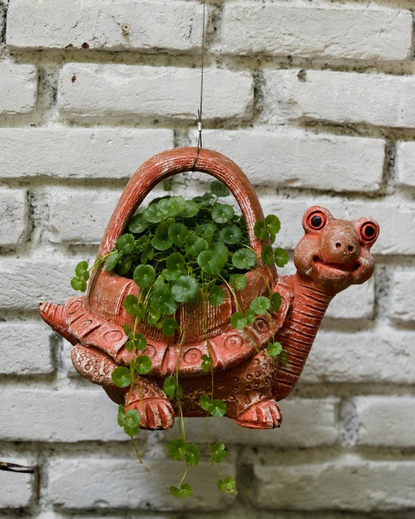 Terracotta Turtle Hanging Planter