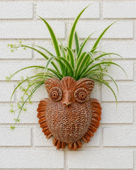Owl Terracotta Wall Planter