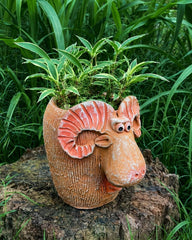 Curly Moose Terracotta Planter