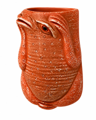 Frog Terracotta Wall Planter