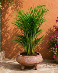 Tripod Terracotta Planter
