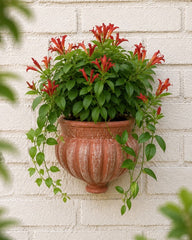 Kharbooja Terracotta Wall Planter